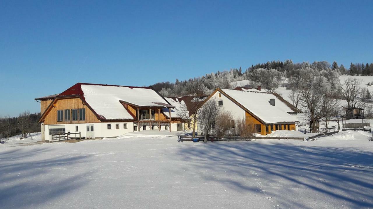Oetscherblick Fam Winter Frankenfels Екстер'єр фото